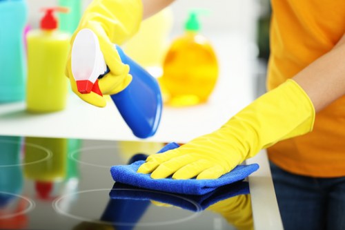 Professional stain removal methods for upholstery in St Helier